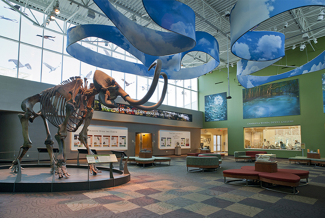 central gallery